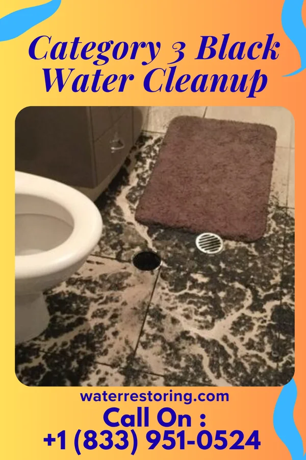 Category 3 Black Water Cleanup in Shrewsbury, WV