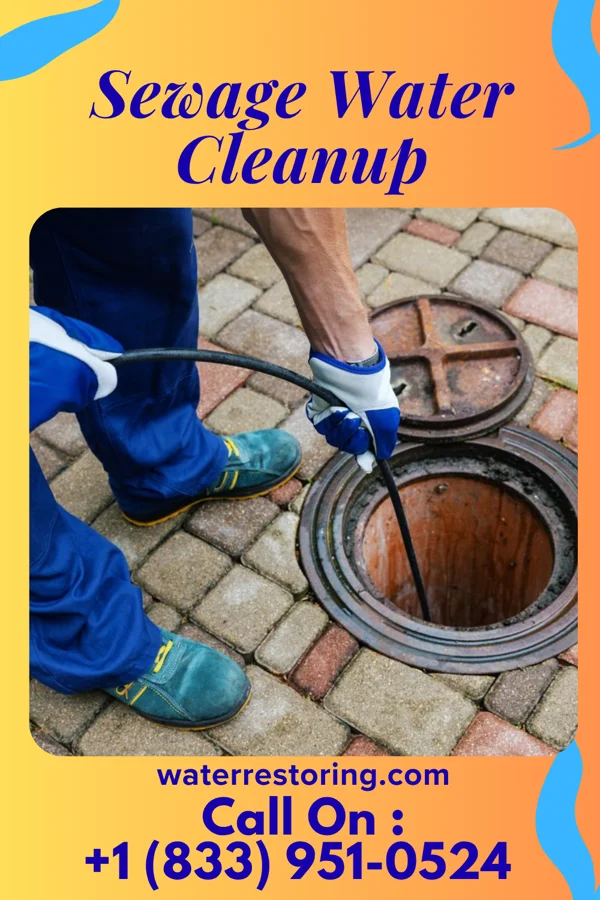 Sewage Water Cleanup in Shrewsbury, WV