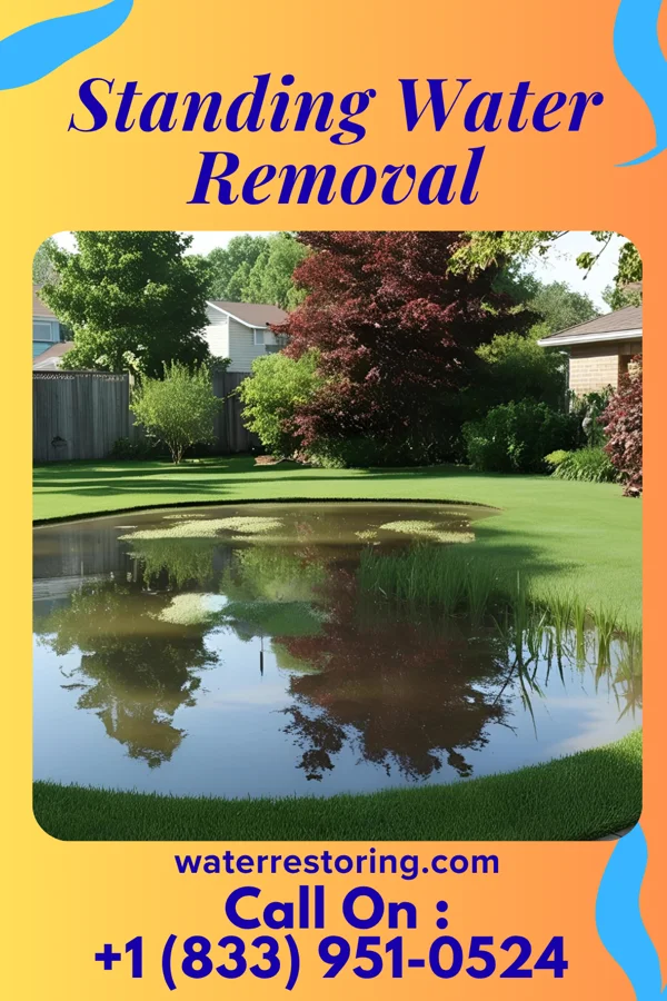 Standing Water Removal in Shrewsbury, WV